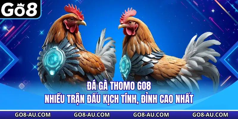 Đá Gà Thomo GO8 -Nhiều Trận Đấu Kịch Tính, Đỉnh Cao Nhất