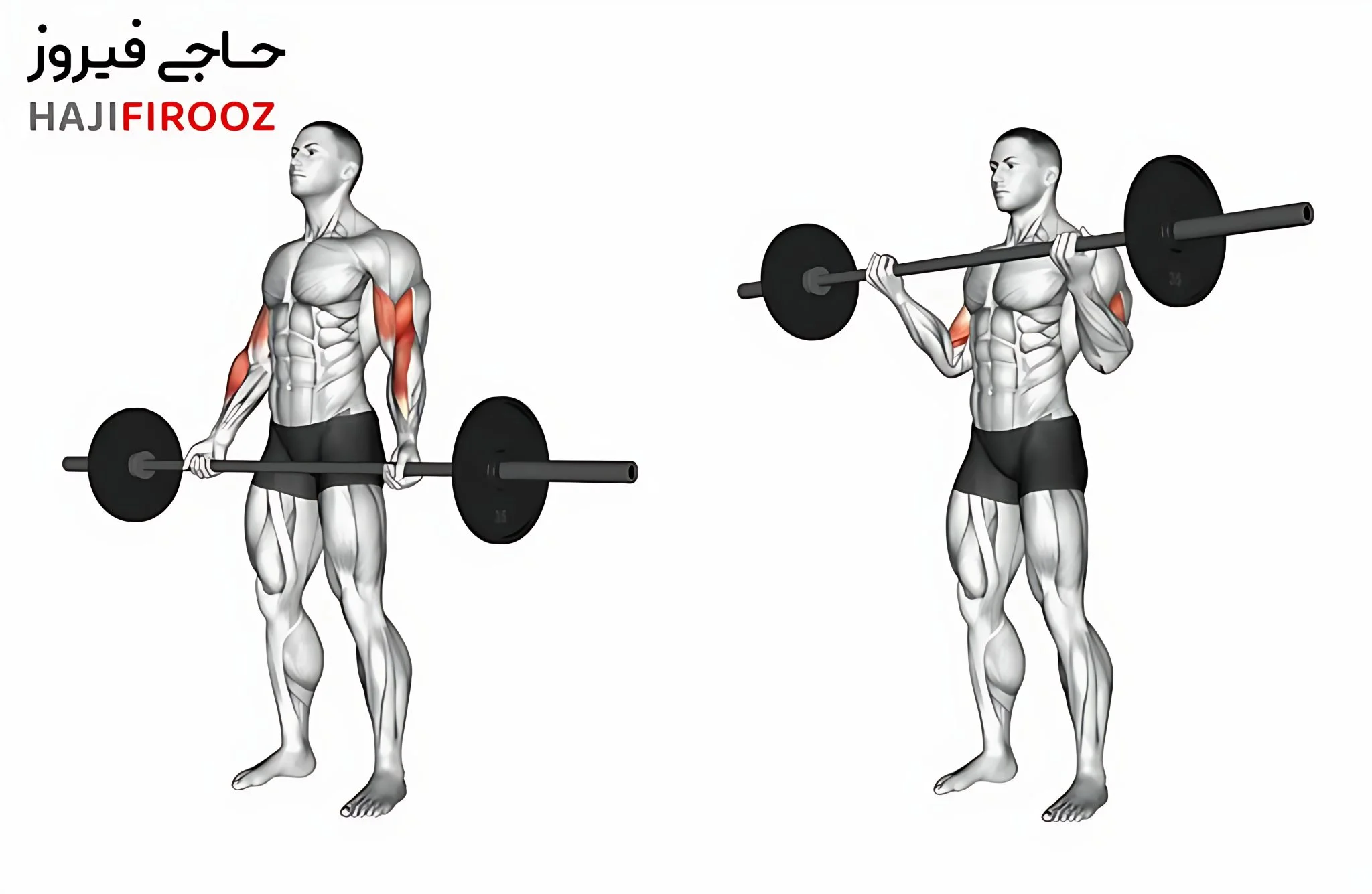 flat-barbell-weight-25kg