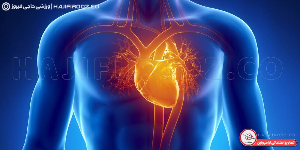 فواید ترامپولین خانگی ترامپولین باشگاهی ترامپولین فضای باز ورزش هوازی ورزش ایروبیک ورزش جامپینگ ایران ترامپولین ورزش هوازی تجهیزات هوازی تجهیزات ایروبیک ورزشی حاجی فیروز فیت لند HAJIFIROOZ.CO