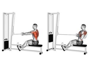 شیوه استفاده از دسته دوبل قایقی و حرکت دادن آن: