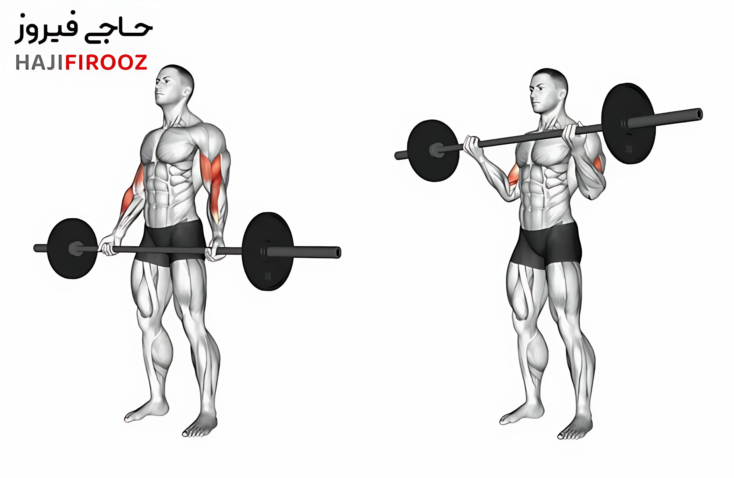 flat-barbell-weight-5kg